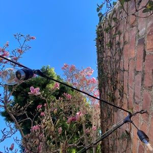 Meet your Posher, Alessia